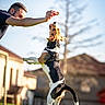 Volt participe au concours pour gagner de l'argent avec cette photo : active, animal, backyard, daylight, dog, focus, fun, grass, happy, harness, house, jumping, leash, man, outdoor, person, pet, playing, sunny, treat