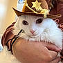 cat, white_cat, cowboy_hat, pet, fluffy, indoor, person, hand, holding, closeup, cute, animal, feline, costume, brown_hat, face, portrait, domestic_animal, cozy, casual_clothing