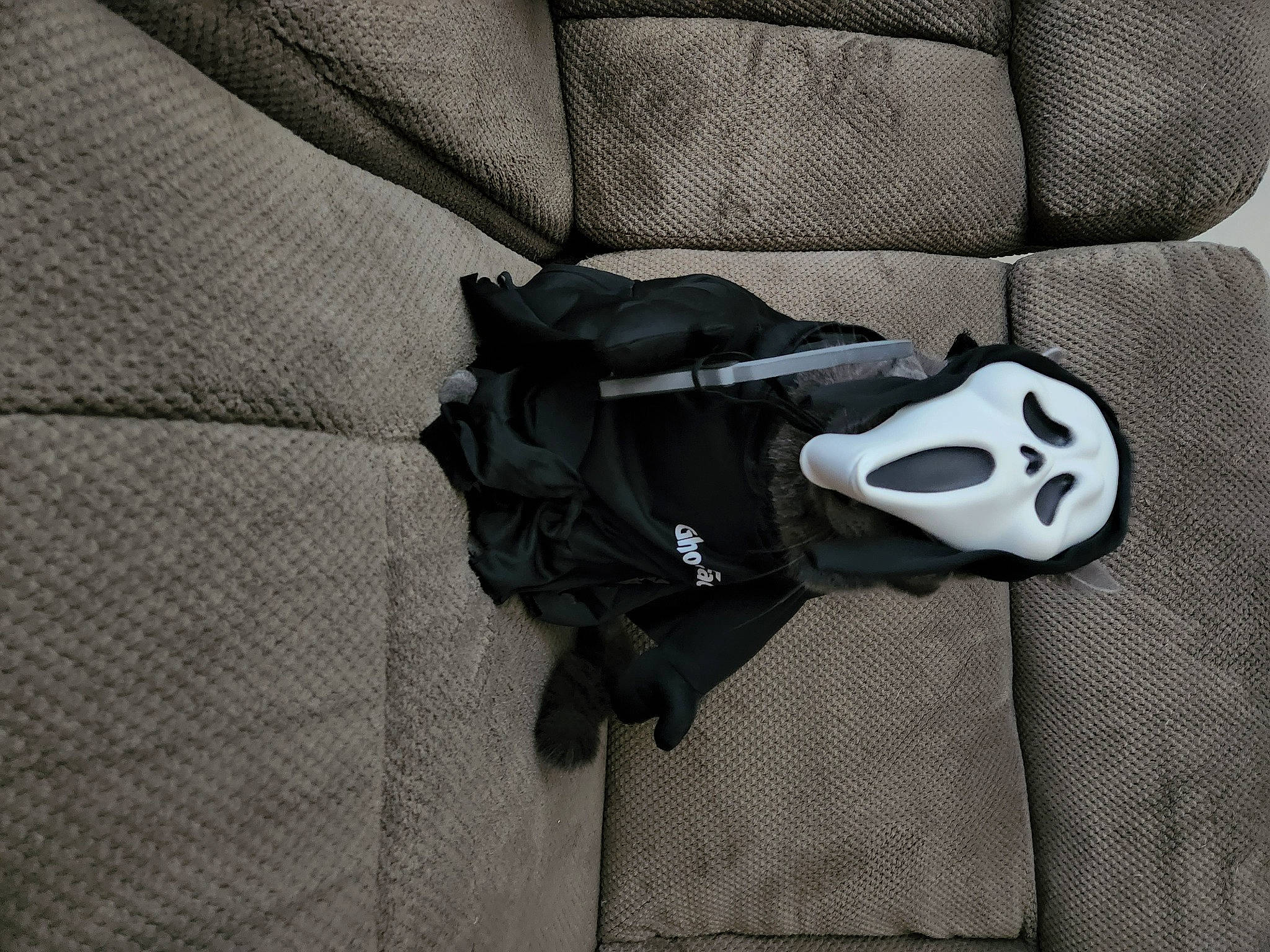 Tete is registered to the contest to win money with this photo: athletic_shoe, auto_part, automotive_design, bag, baggage, brand, carmine, collar, comfort, fashion_accessory, font, grey, linens, luggage_and_bags, pattern, personal_protective_equipment, sleeve, sports_gear, sportswear