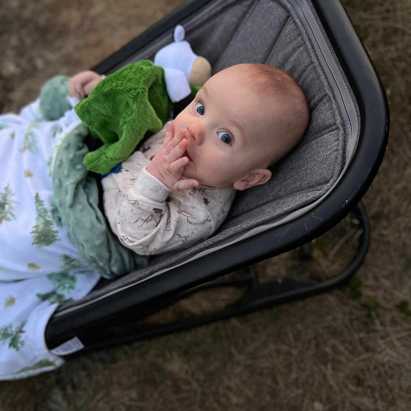 Weston is registered to the contest to win money with this photo: baby, blanket, bodypart, chair, clothing, crib, dress, face, furniture, grass, hat, head, infantbed, newborn, person, photography, plant, portrait, sitting, toy