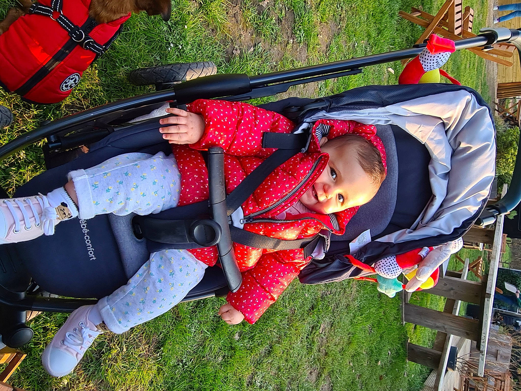 Ana a rejoint le concours — aidez-le/la à gagner de superbes lots ! baby, baby_carriage, baby_products, carmine, child, fun, grass, leisure, pattern, people_in_nature, person, personal_protective_equipment, plant, recreation, red, toddler, tree, window