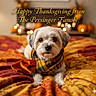 dog, small_dog, plaid_scarf, white_fur, gray_fur, bedspread, quilt, autumn_colors, orange, yellow, red, pumpkins, bokeh, holiday, thanksgiving, text_overlay, indoor, cozy, pet, portrait