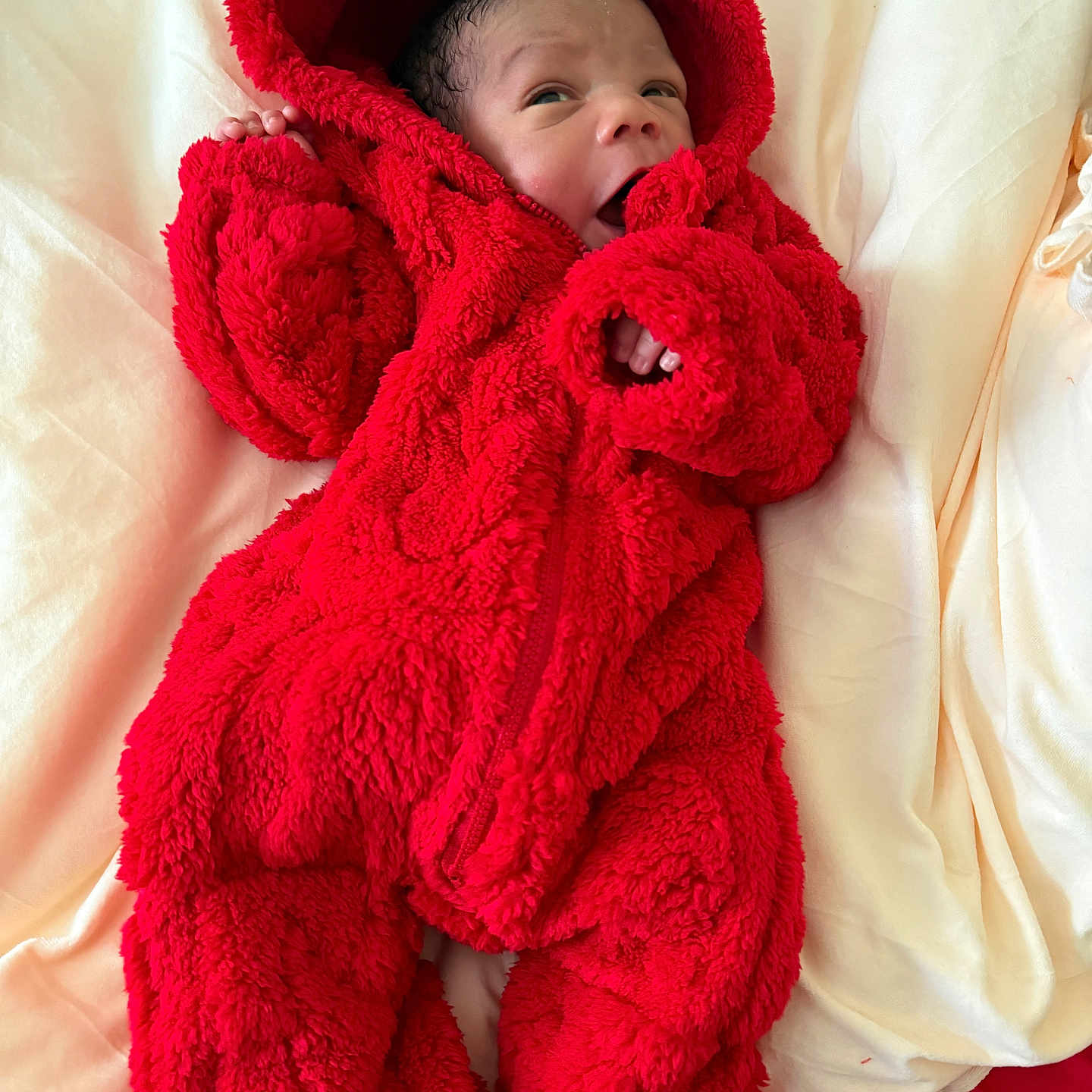 Bernard joined the competition — help win amazing prizes! baby, infant, red_onesie, fluffy_clothing, hooded_outfit, blanket, bed, cute, newborn, child, face, sleepwear, soft_texture, cozy, lying_down, warm_clothing, indoors, portrait, small_hands, baby_clothes