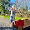 toddler, child, pacifier, cap, toy_cart, wooden_toy, outdoor, sunny, greenery, sky, pathway, play, exploration, casual_clothing, jeans, long_sleeve_shirt, shoes, nature, daylight, portrait