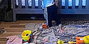 Ashton is registered to the contest to win money with this photo: baby_toy, blanket, child, clothing, crib, curious, cute, floor, furniture, home, indoor, pants, play_area, room, shirt, standing, stuffed_animal, toddler, toy, wooden_floor