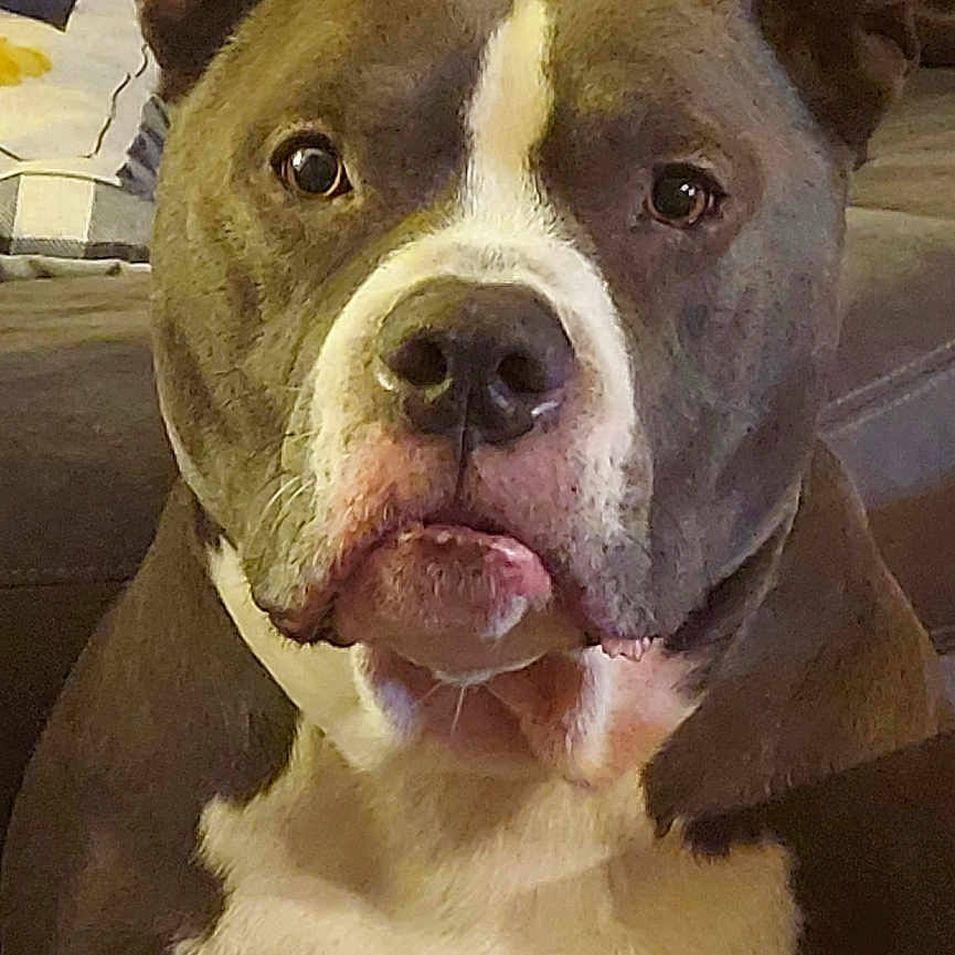Jax