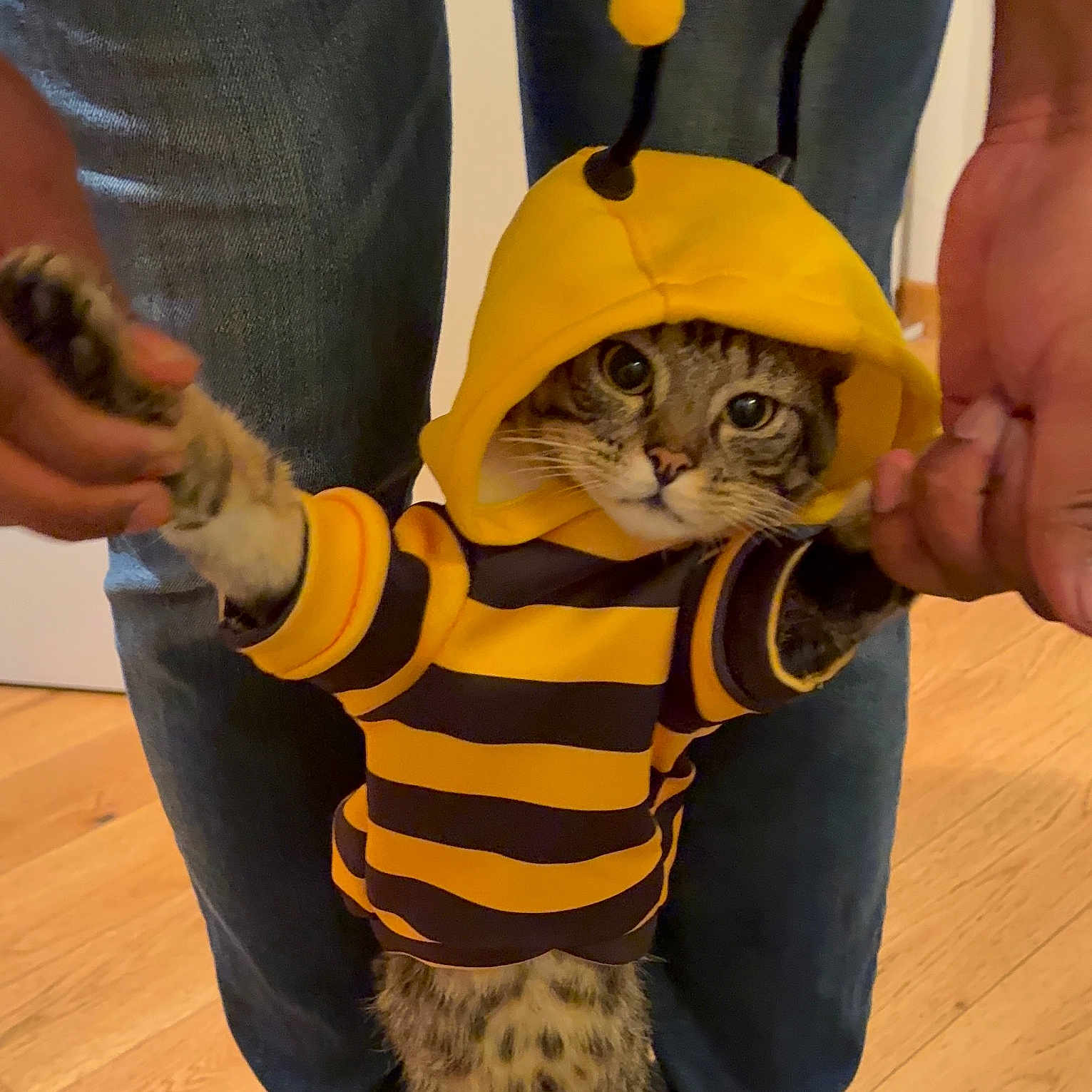 Adelito