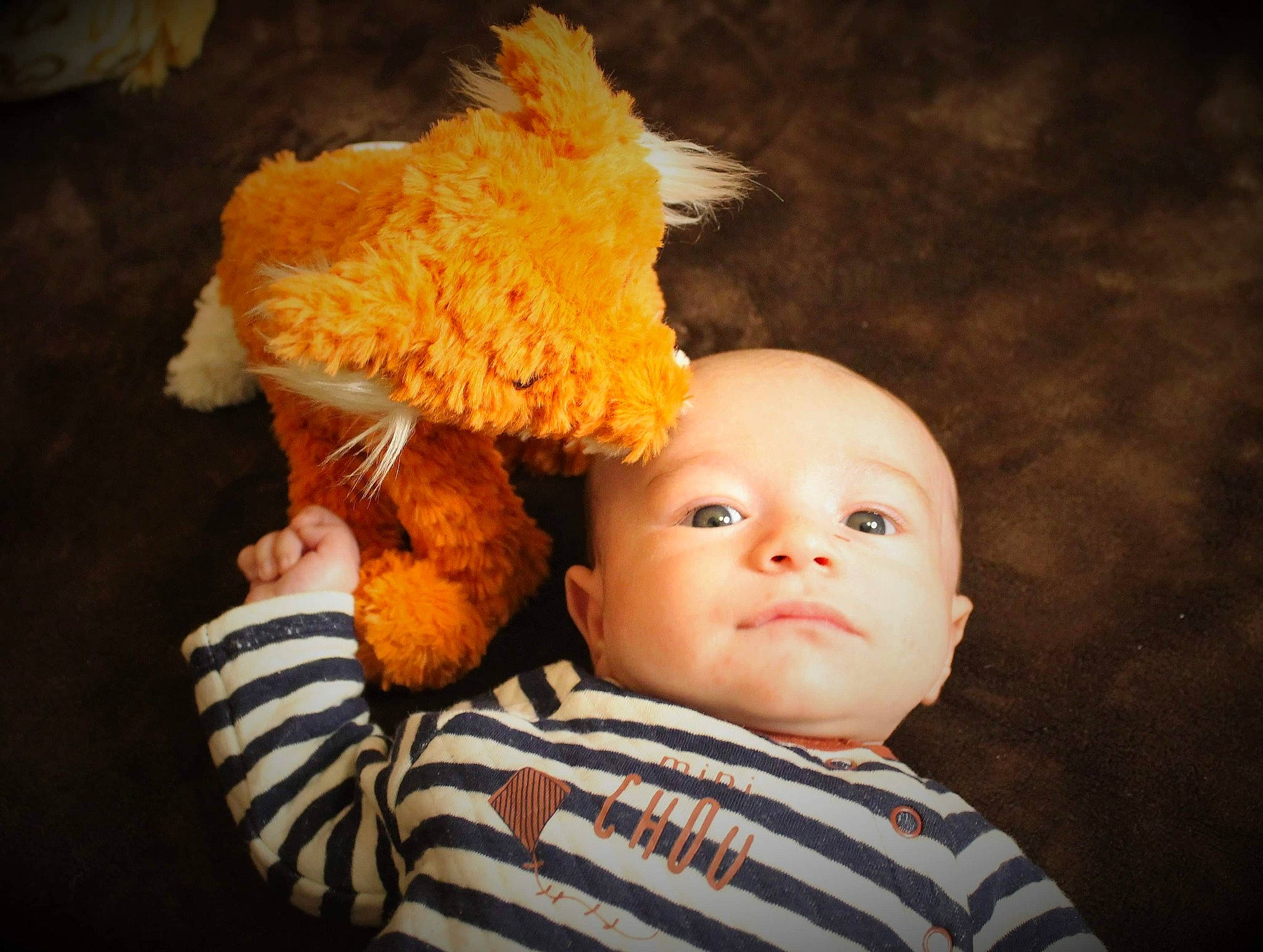 Ezyo participe au concours pour gagner de l'argent avec cette photo : baby, baby_toddler_clothing, cheek, child, comfort, flash_photography, fur, happy, head, headgear, nose, organ, person, skin, stuffed_toy, teddy_bear, toddler, toy, wood, wool