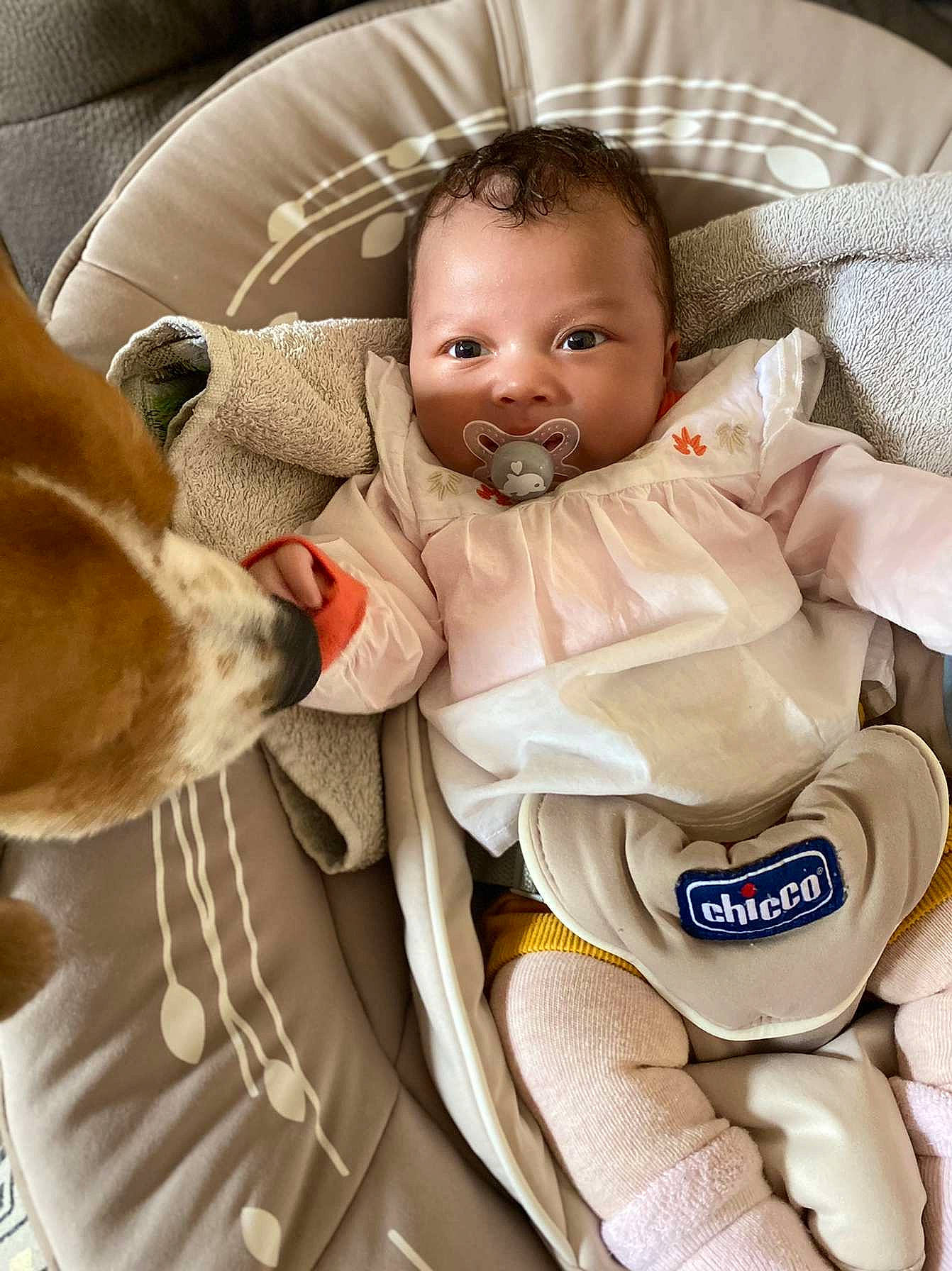 Malia a rejoint le concours — aidez-le/la à gagner de superbes lots ! baby, baby_carriage, baby_products, baby_safety, baby_toddler_clothing, car_seat, carnivore, cheek, child, comfort, companion_dog, dog, eye, linens, mammal, person, seat_belt, sitting, textile, toddler