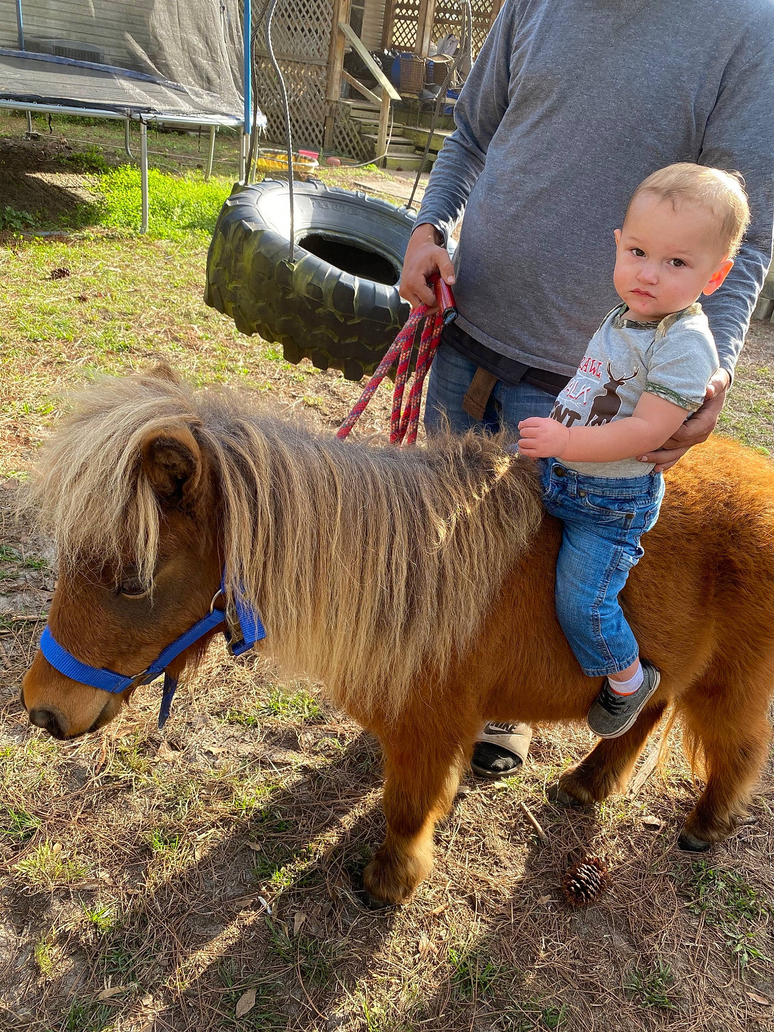 Brayden joined the competition — help win amazing prizes! child, horse, horse_supplies, livestock, mammal, mane, mare, pack_animal, person, pony, shetland_pony, toddler, vacation, vertebrate