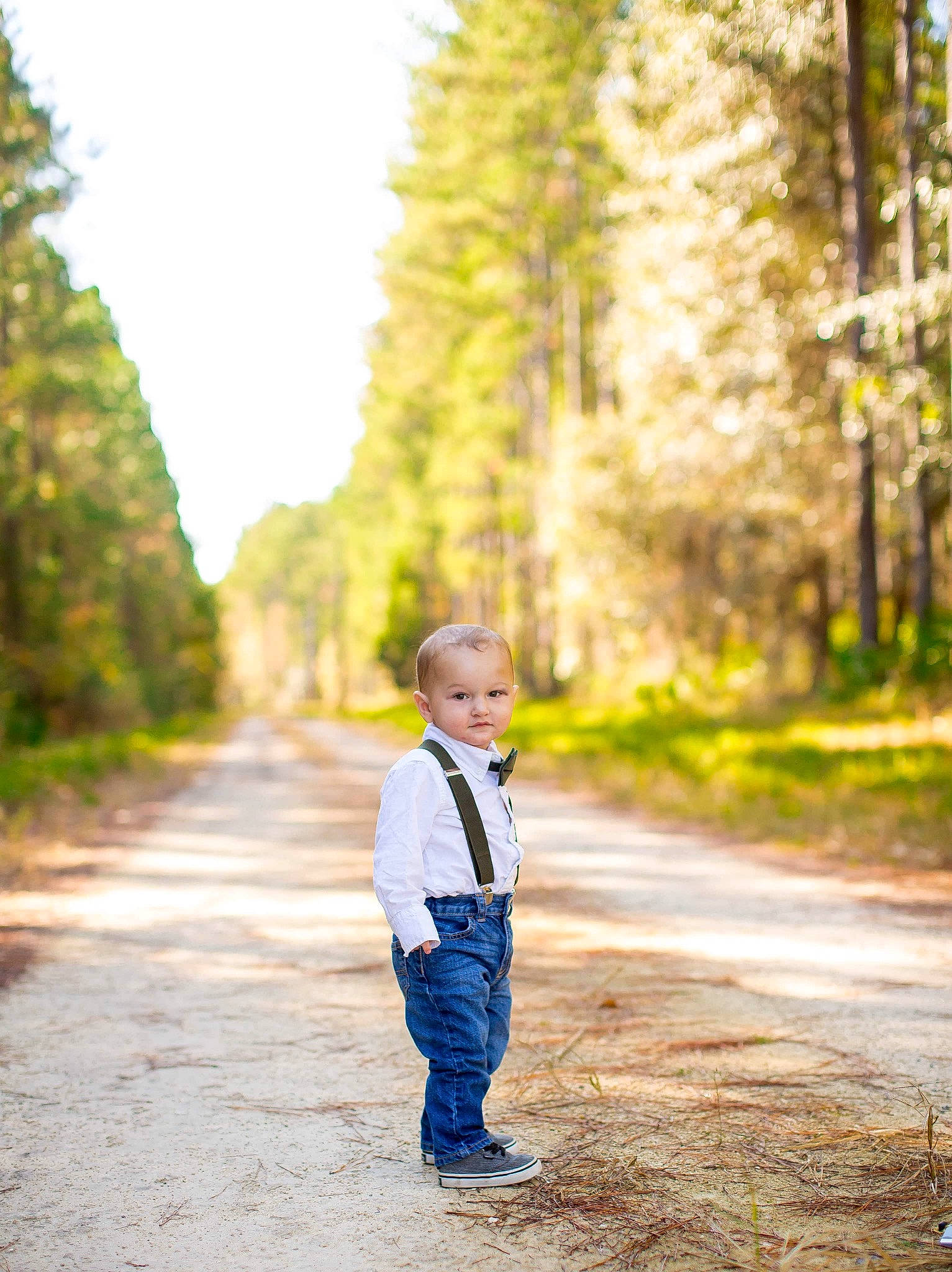 Brayden joined the competition — help win amazing prizes! autumn, child, forest, leaf, natural_environment, natural_landscape, nature, people, people_in_nature, person, photograph, photography, portrait_photography, road, standing, sunlight, toddler, tree, vacation, walking