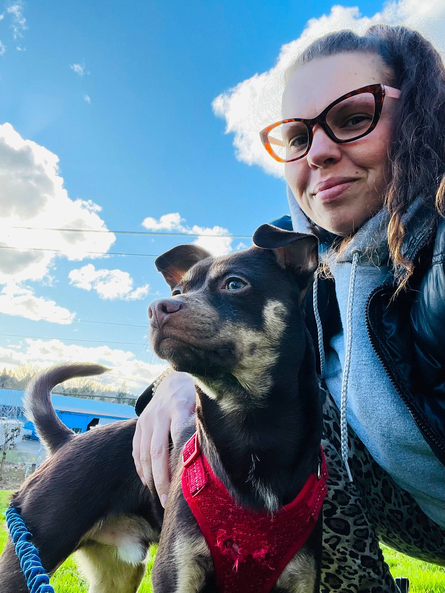 Dino Gambino joined the competition — help win amazing prizes! carnivore, cloud, collar, companion_dog, dog, dog_breed, dog_collar, eyewear, fawn, gesture, glasses, goggles, happy, leisure, mountainous_landforms, sky, smile, sunglasses, travel, vision_care