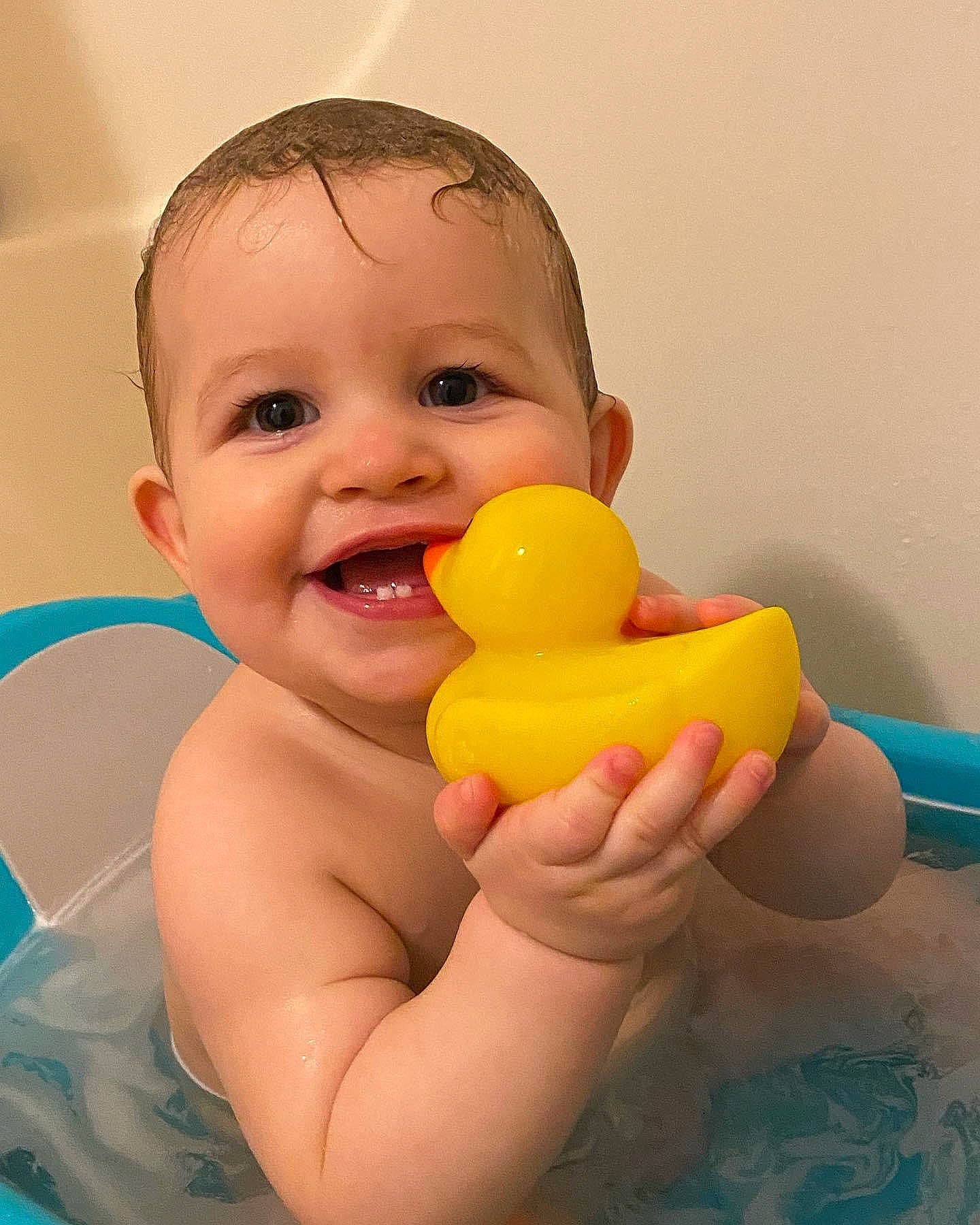 Maverick is registered to the contest to win money with this photo: arm, baby_bathing, baby_playing_with_toys, bath_toy, cheek, eye, facial_expression, hair, hand, happy, head, human_body, joy, mouth, muscle, nose, person, product, rubber_ducky, skin