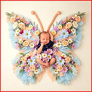 Lillian joined the competition — help win amazing prizes! baby, newborn, butterfly, flower, pastel_colors, knitted_antennae, sleeping, cute, floral_arrangement, soft_tulle, decor, infant, posing, creative_photography, adorable, peaceful, tender, artistic, portrait, child