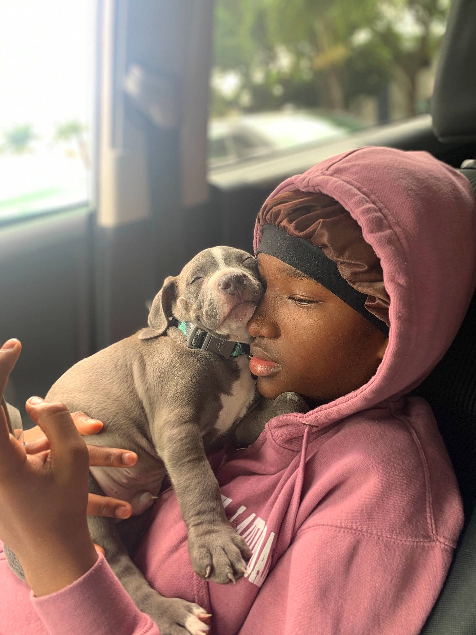 Juice joined the competition — help win amazing prizes! baby, blue_lacy, canidae, carnivore, child, dog, dog_breed, ear, fawn, non_sporting_group, pit_bull, pointing_breed, puppy, puppy_love, sporting_group, toddler, weimaraner