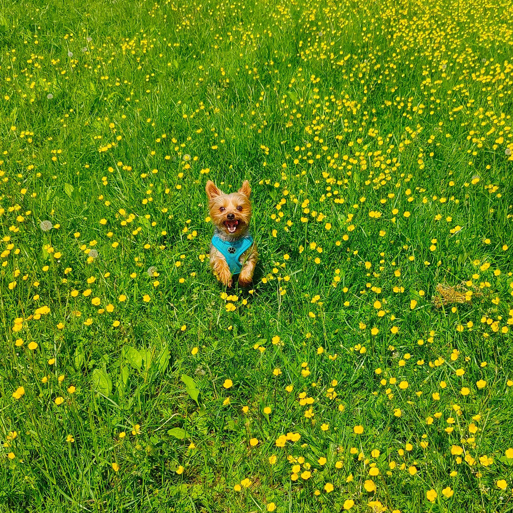 Baxter