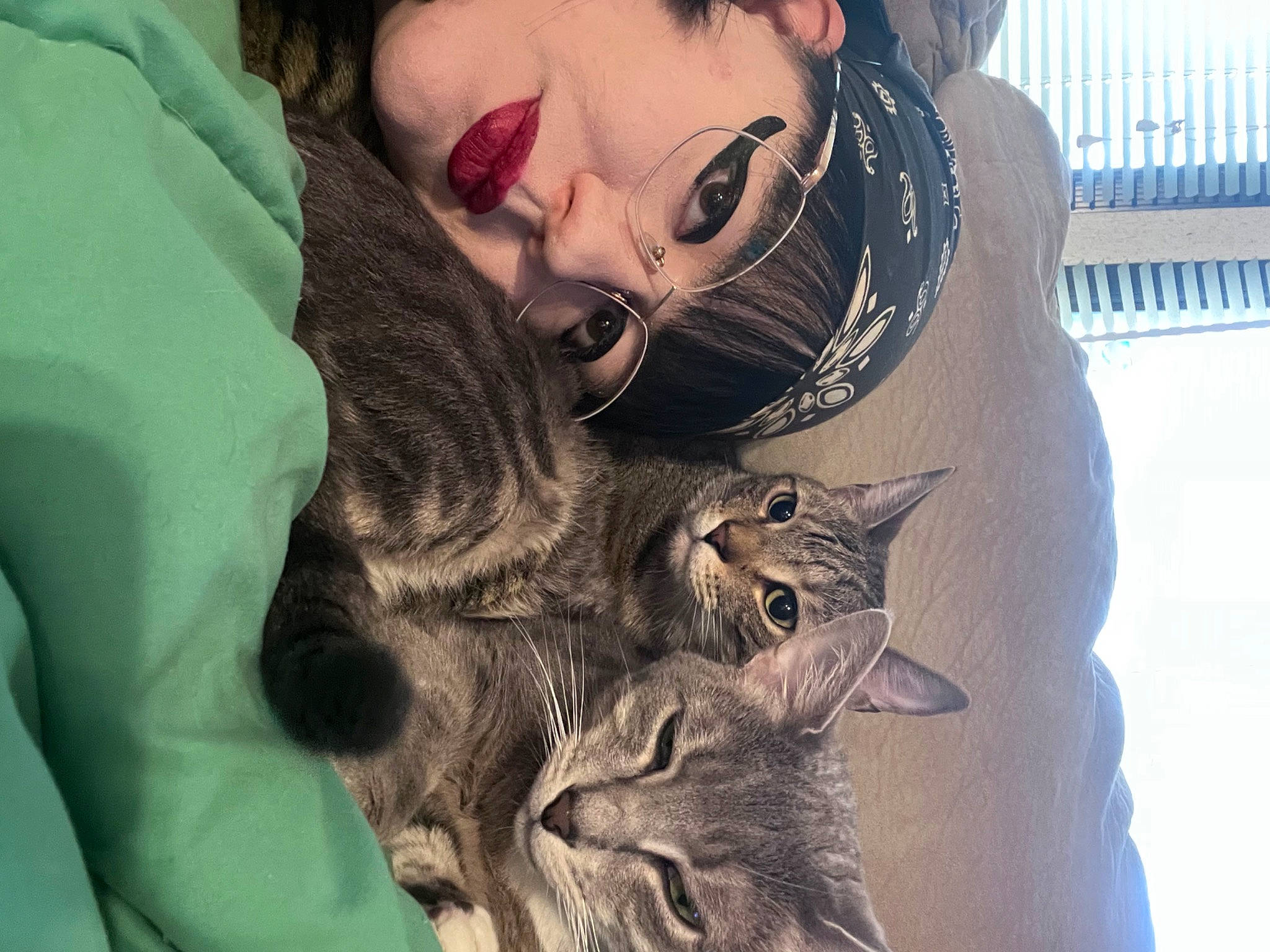 Conway Twitty is registered to the contest to win money with this photo: beard, carnivore, cat, claw, comfort, domestic_short_haired_cat, eyelash, eyewear, fawn, felidae, fur, glasses, happy, moustache, paw, skin, small_to_medium_sized_cats, sunglasses, tail, whiskers