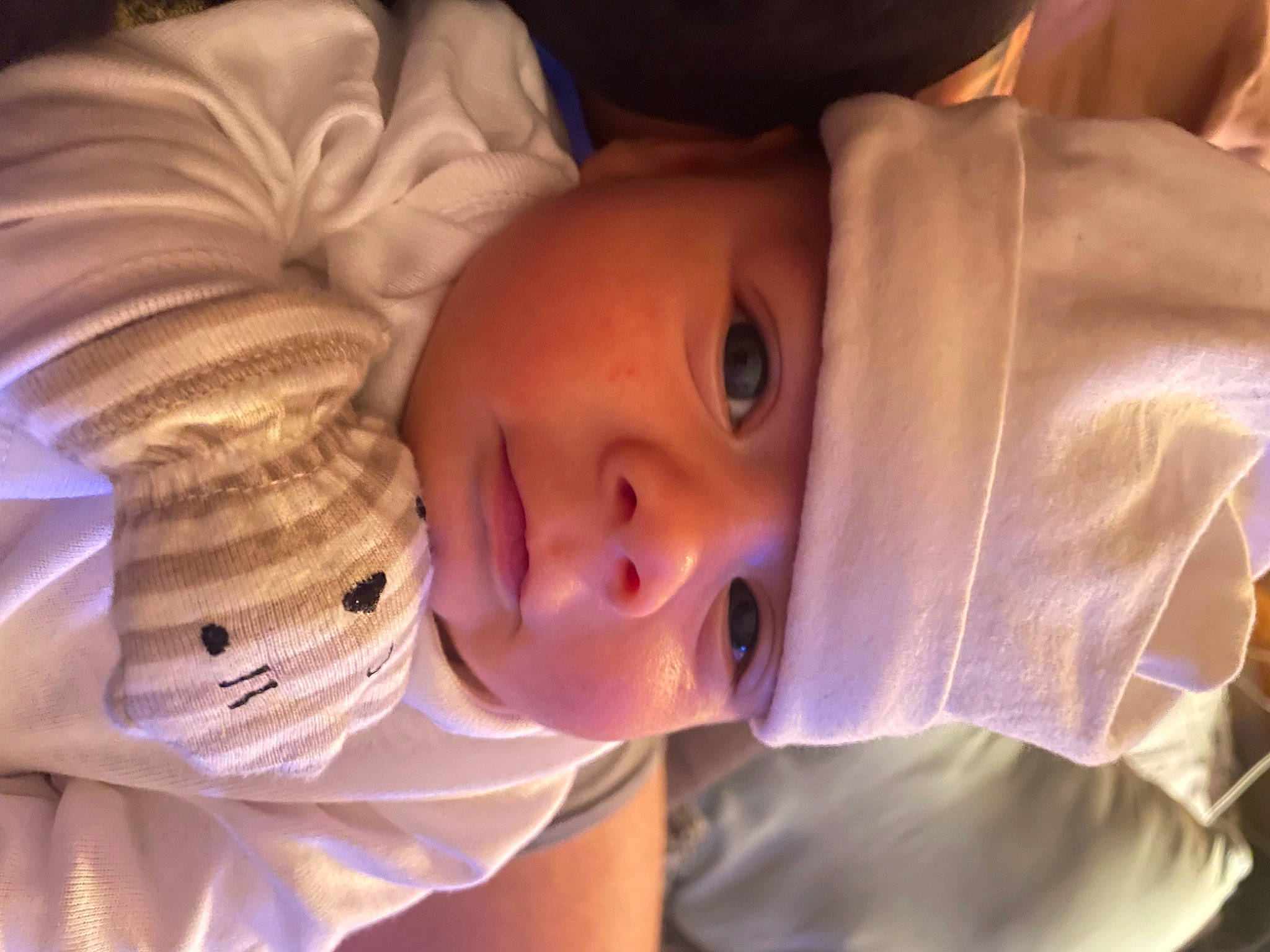 Matteo is registered to the contest to win money with this photo: cheek, chin, cool, ear, eye, eyebrow, eyelash, flash_photography, forehead, hair, happy, headgear, headwear, iris, lip, mouth, nose, outerwear, person, skin