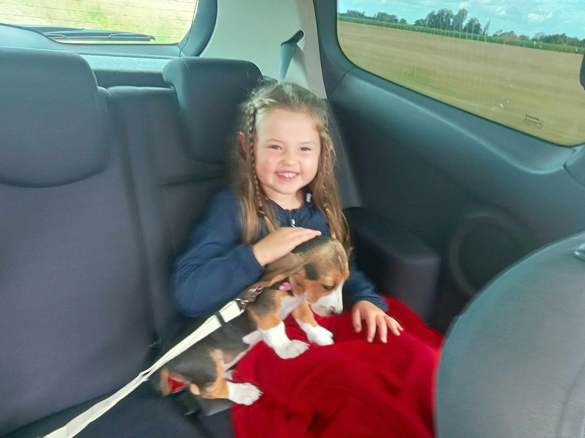 Colomby participe au concours pour gagner de l'argent avec cette photo : child, girl, dog, puppy, beagle, car_interior, backseat, seat, seatbelt, blanket, pet, animal, leash, smile, braids, window, countryside, travel, happy, young