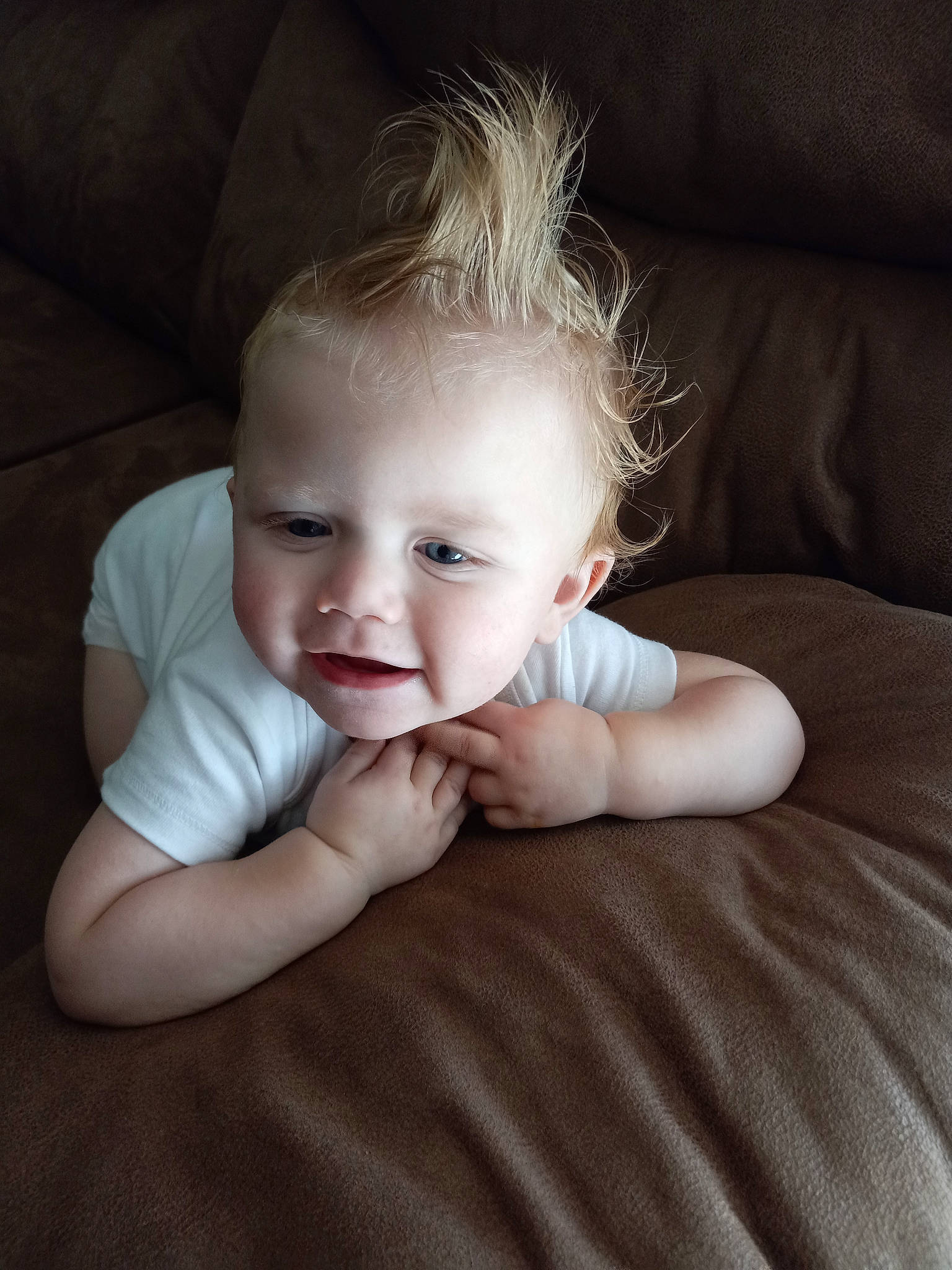 Jerry joined the competition — help win amazing prizes! arm, cheek, chin, comfort, eye, eyebrow, face, flash_photography, gesture, hand, head, iris, lip, mouth, nose, person, shoulder, skin, sleeve, smile