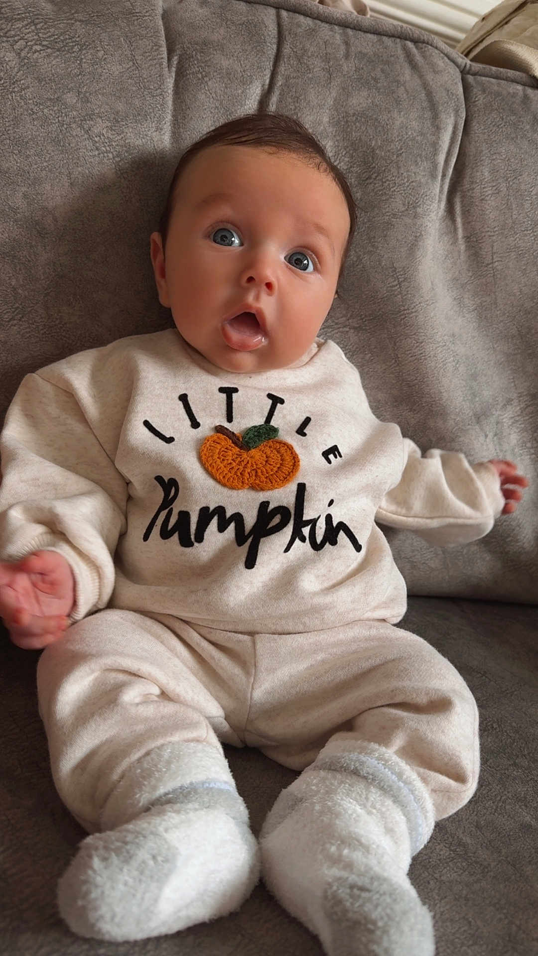 Joey joined the competition — help win amazing prizes! baby, infant, child, sitting, clothing, sweatshirt, pumpkin, cozy, socks, couch, gray, cute, expression, wide_eyes, soft, indoors, portrait, hands, feet, warm