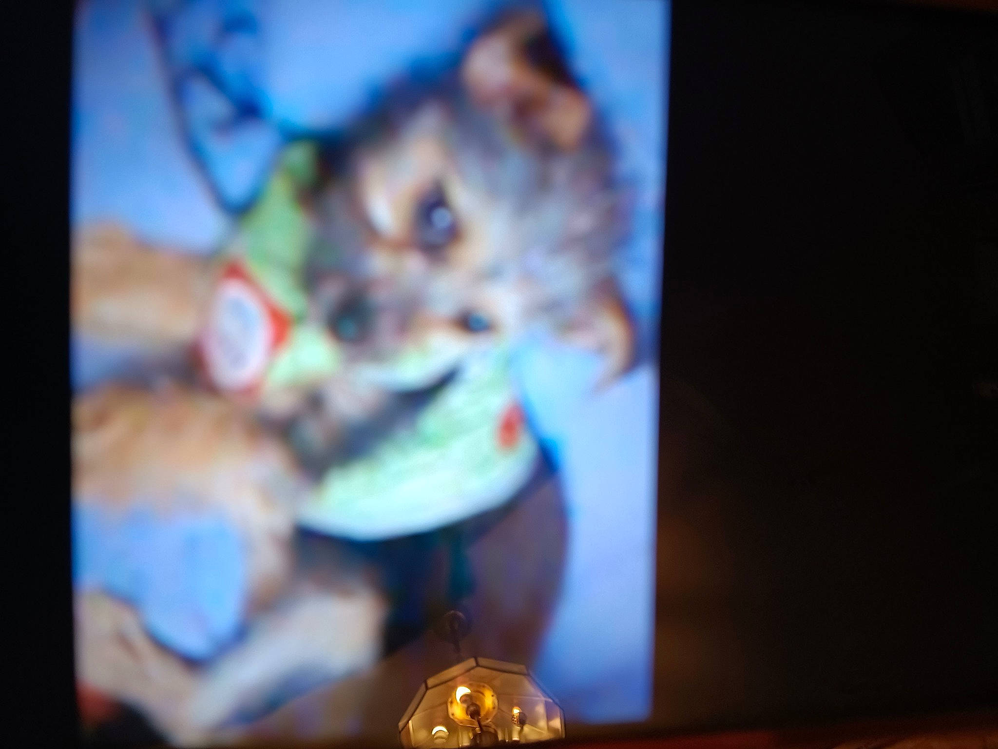 Snippy is registered to the contest to win money with this photo: carnivore, cat, communication_device, darkness, display_device, electric_blue, event, felidae, flat_panel_display, fur, gadget, led_backlit_lcd_display, multimedia, paw, photo_caption, portable_communications_device, room, small_to_medium_sized_cats, visual_arts, whiskers