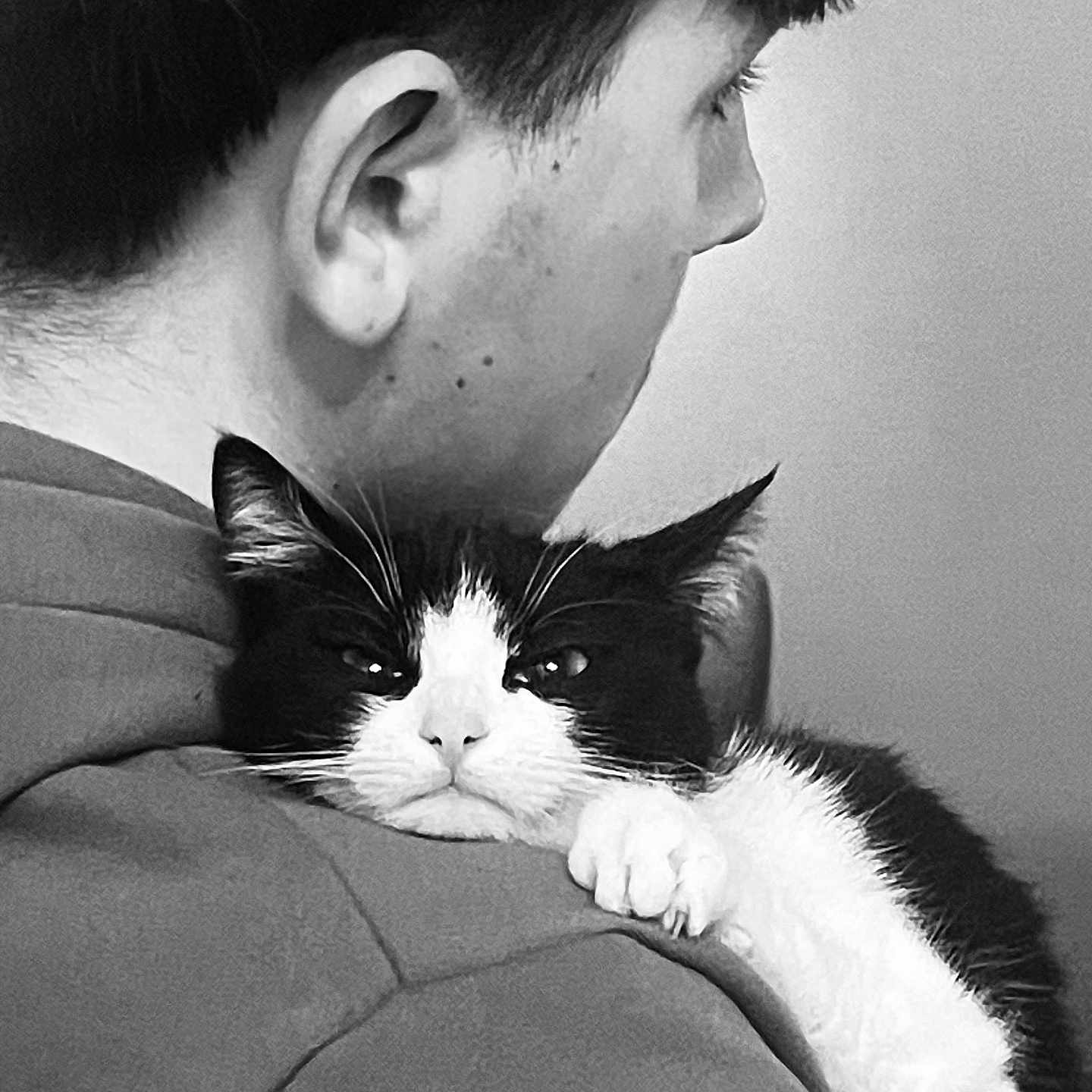 Lucifer a rejoint le concours — aidez-le/la à gagner de superbes lots ! black_and_white, cat, person, shoulder, portrait, close_up, monochrome, indoor, feline, face, hair, animal, cute, pet, comfort, affection, calm, soft_texture, clothing, human