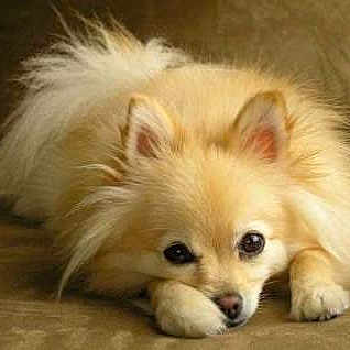 Yuuki is registered to the contest to win money with this photo: