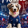 dog, soccer_ball, sports_jersey, stadium, fans, flags, confetti, celebration, france, eiffel_tower, arc_de_triomphe, happy, tongue_out, animal, pet, team_spirit, competition, outdoor, grass, crowd