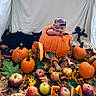 Amira is registered to the contest to win money with this photo: baby, child, pumpkin, halloween, autumn, fall, orange, costume, headband, bow, cat, black_cat, apples, leaves, outdoor, portrait, sitting, harvest, seasonal, still_life