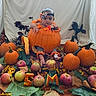 baby, child, pumpkin, halloween, autumn, fall, apples, leaves, orange, costume, headband, infant, portrait, seasonal, outdoor, studio, still_life, harvest, smiling, photography