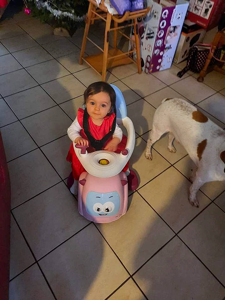 Lucie a rejoint le concours — aidez-le/la à gagner de superbes lots ! baby, baby_products, baby_toddler_clothing, bag, chair, child, cleanliness, companion_dog, dog, floor, flooring, fun, fur, lap, leisure, luggage_and_bags, person, play, sitting, toddler