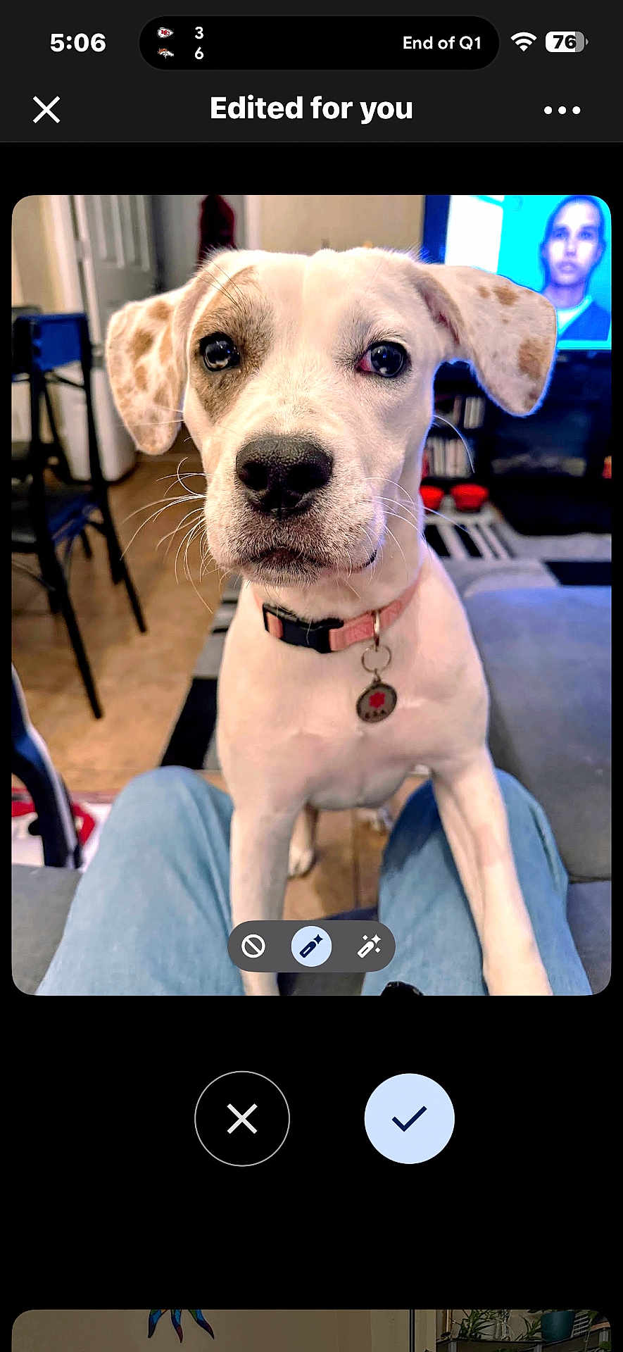 Ronnie joined the competition — help win amazing prizes! blurred_background, brown_and_white, close_up, collar, curious, dog, ears, eyes, floor, flooring, furniture, home, indoor, knees, living_room, person_legs, pet, tag, television, whiskers