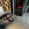 Tayron participe au concours pour gagner de l'argent avec cette photo : dog, blanket, fireplace, firewood, wood, indoor, tile_floor, warm, cozy, resting, pet_bed, wrapped, comfort, animal, snug, home, relaxation, heat, household, quiet