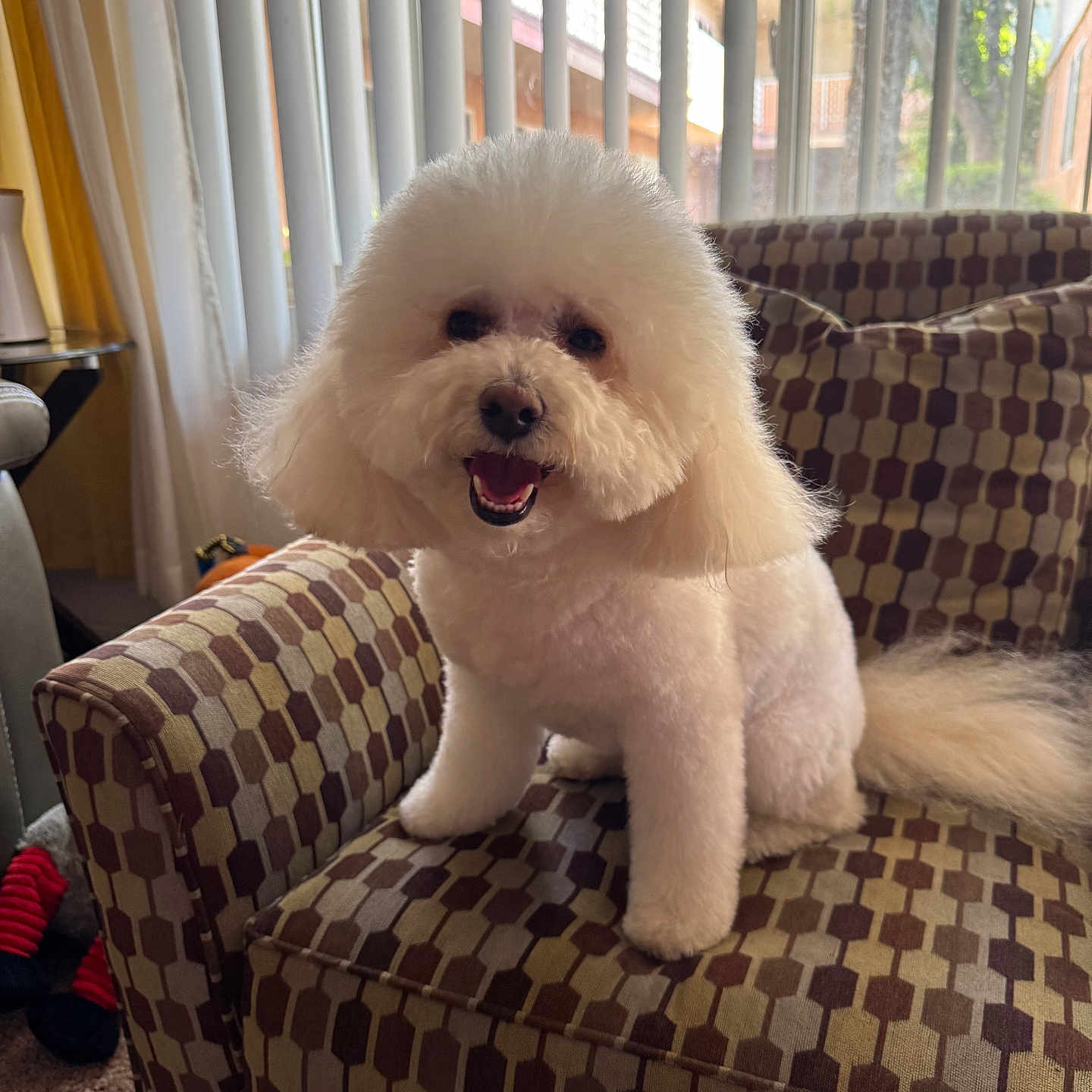Benjamín