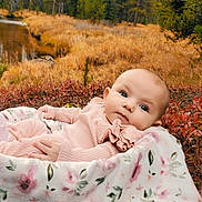 Phoenix joined the competition — help win amazing prizes! baby, infant, blanket, pink_clothing, outdoor, autumn, foliage, stream, nature, grass, portrait, face, lying_down, peaceful, scenery, young_child, cute, soft_texture, seasonal, relaxation
