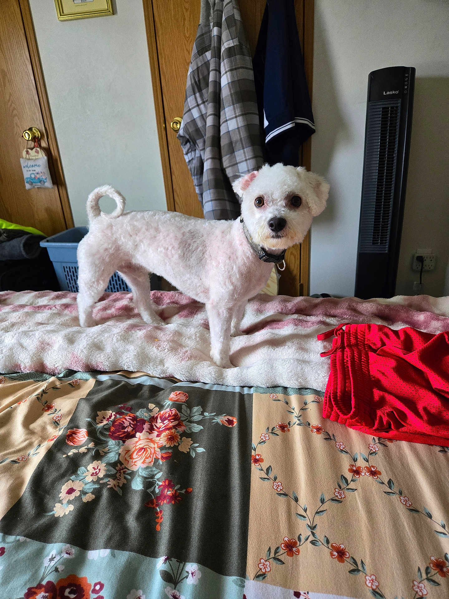 Max