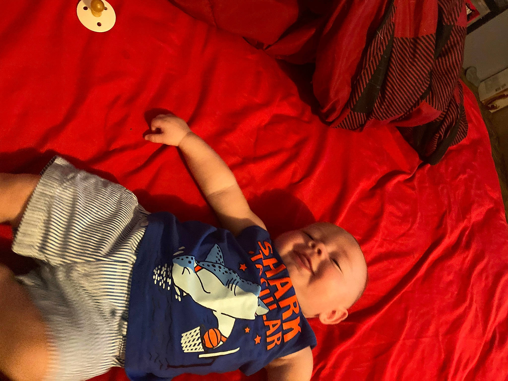 Franklin joined the competition — help win amazing prizes! baby, child, comfort, elbow, event, finger, fun, gesture, happy, mouth, nail, orange, person, sitting, sleeve, t_shirt, textile, thumb, toddler, tree