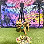 Leo is registered to the contest to win money with this photo: dog, sunglasses, heart_shaped, bandana, green_turf, flower_crown, vip_pass, ferris_wheel, sunset, backdrop, palm_trees, colorful_sky, indoor, decor, pet_accessory, small_dog, playful, cute, portrait, animal