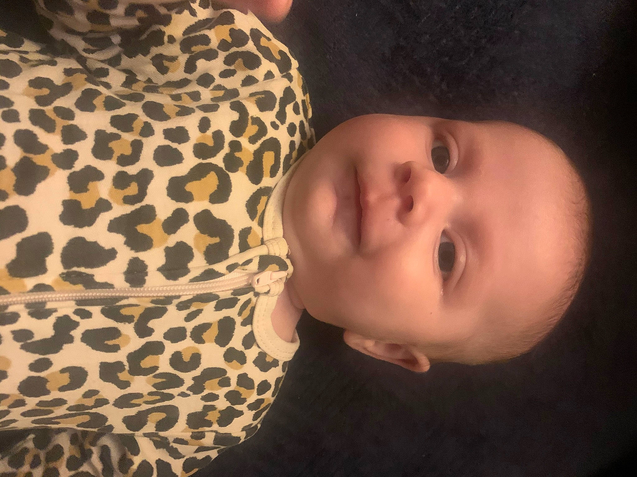 Zeppelin joined the competition — help win amazing prizes! baby, baby_toddler_clothing, cheek, chin, eye, eyebrow, flash_photography, hair, hairstyle, iris, lip, mammal, mouth, neck, nose, person, skin, sleeve, smile, toddler