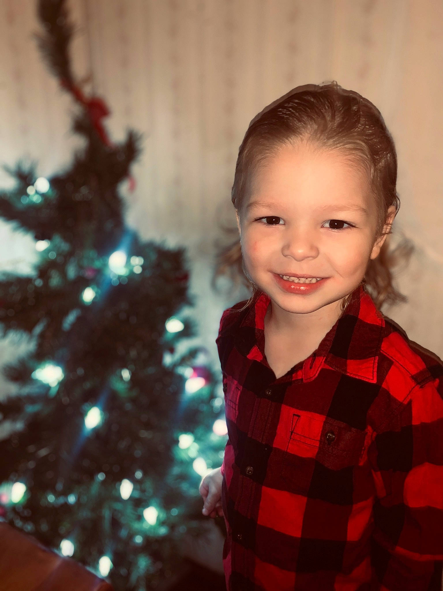 Phoenix is registered to the contest to win money with this photo: christmas_ornament, christmas_tree, collar, event, evergreen, eye, facial_expression, flash_photography, fun, hairstyle, happy, holiday_ornament, joy, ornament, person, plaid, plant, sleeve, smile, tartan