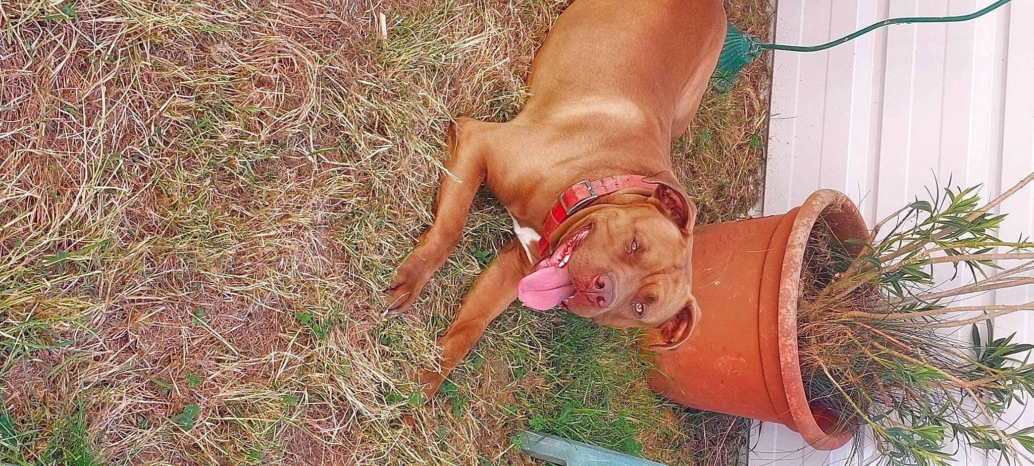 Mbaku a rejoint le concours — aidez-le/la à gagner de superbes lots ! abdomen, chest, drum, elbow, eye, fashion_accessory, fawn, flesh, foot, grass, human_leg, jewellery, knee, leisure, people_in_nature, plant, soil, thigh, trunk, wrist