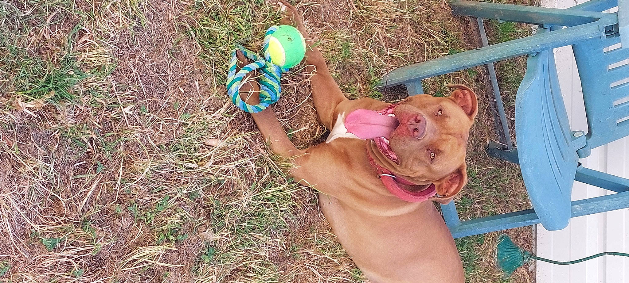 Mbaku a rejoint le concours — aidez-le/la à gagner de superbes lots ! chest, child, electric_blue, fun, grass, happy, hat, leisure, outdoor_play_equipment, people_in_nature, play, recreation, sky, smile, soil, toddler, vacation