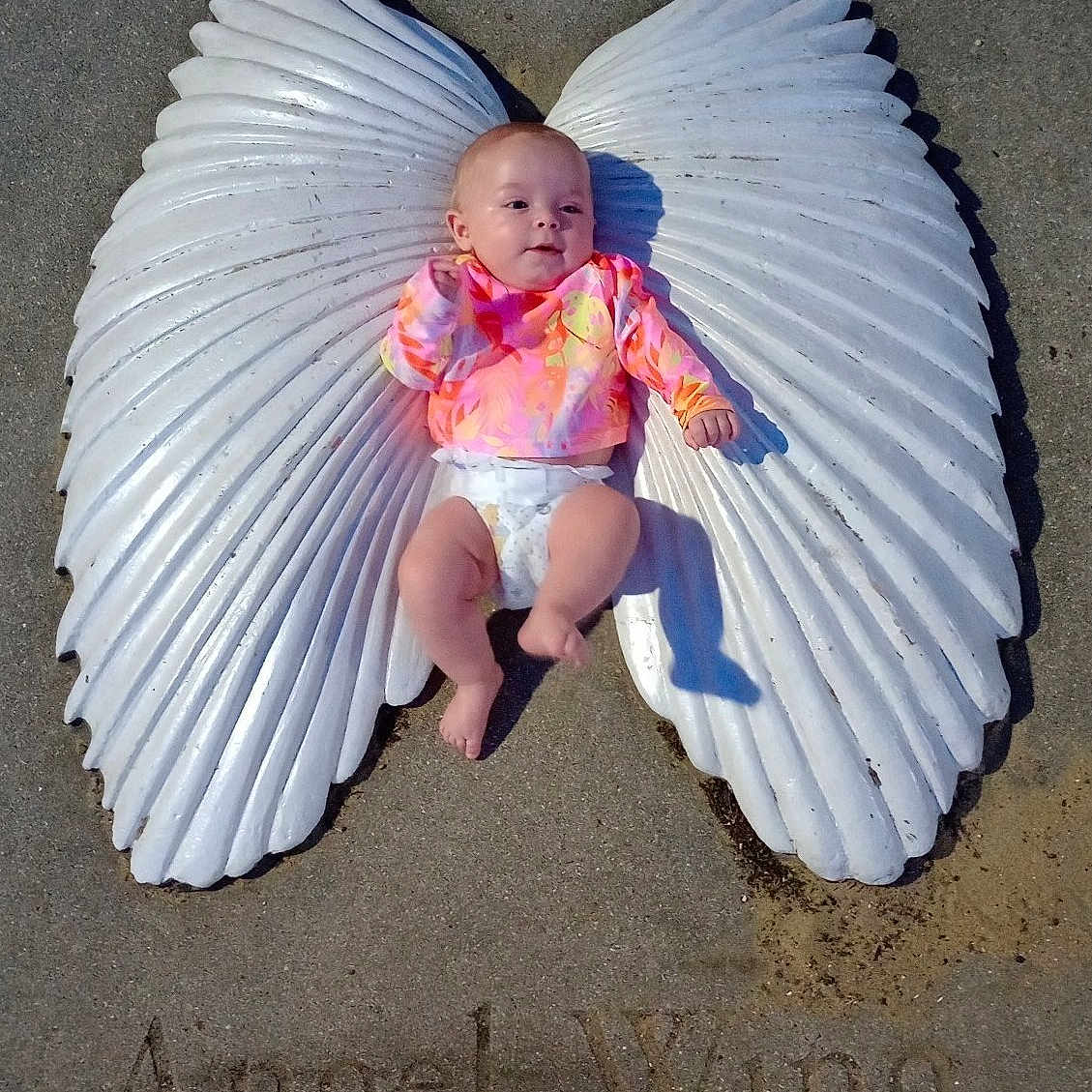 Kora is registered to the contest to win money with this photo: animal, baby, clam, clothing, diaper, dress, face, food, head, invertebrate, outdoors, pants, person, photography, portrait, seafood, sealife, seashell, shorts, sitting