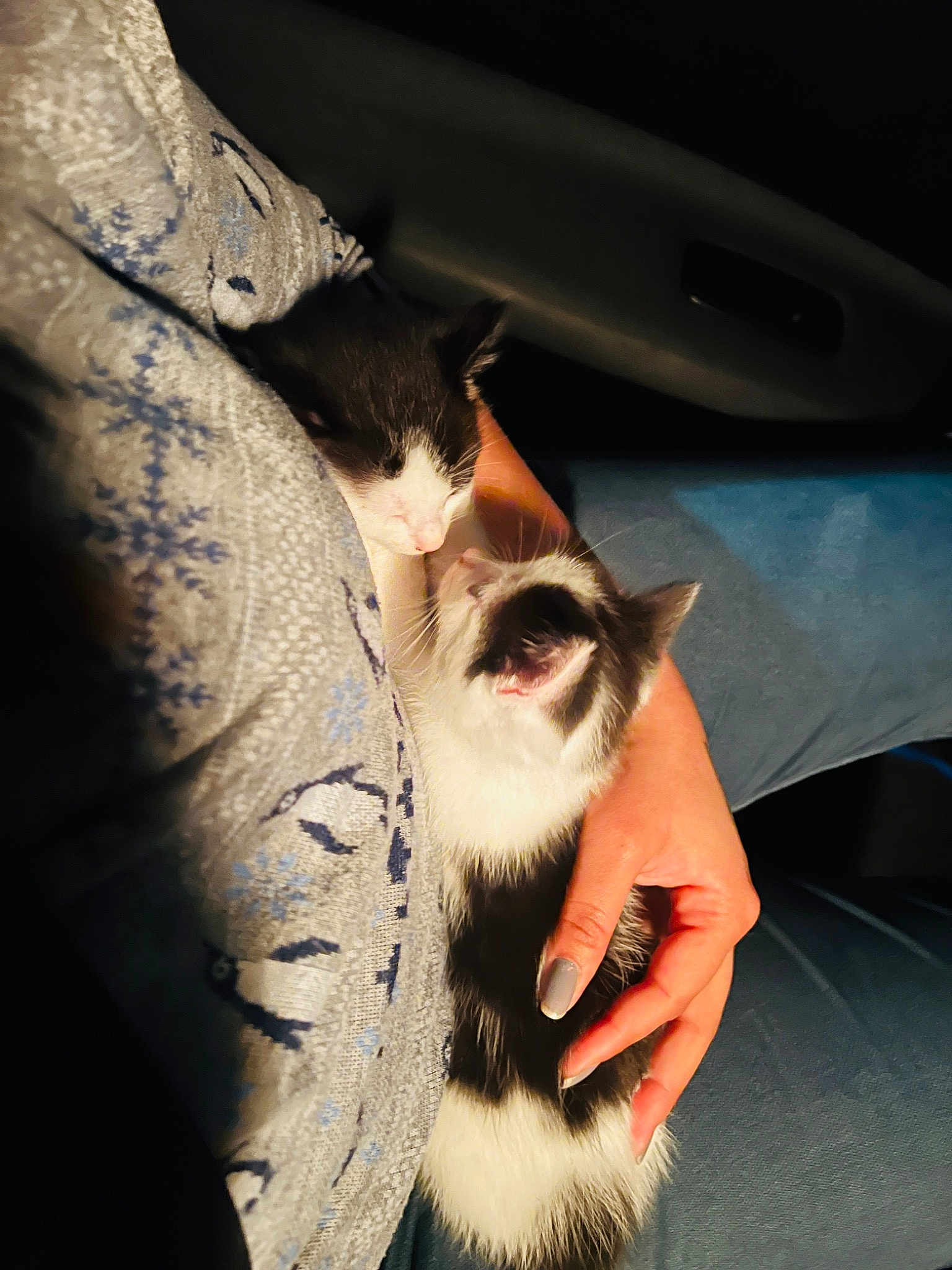 Sweety And Rocky