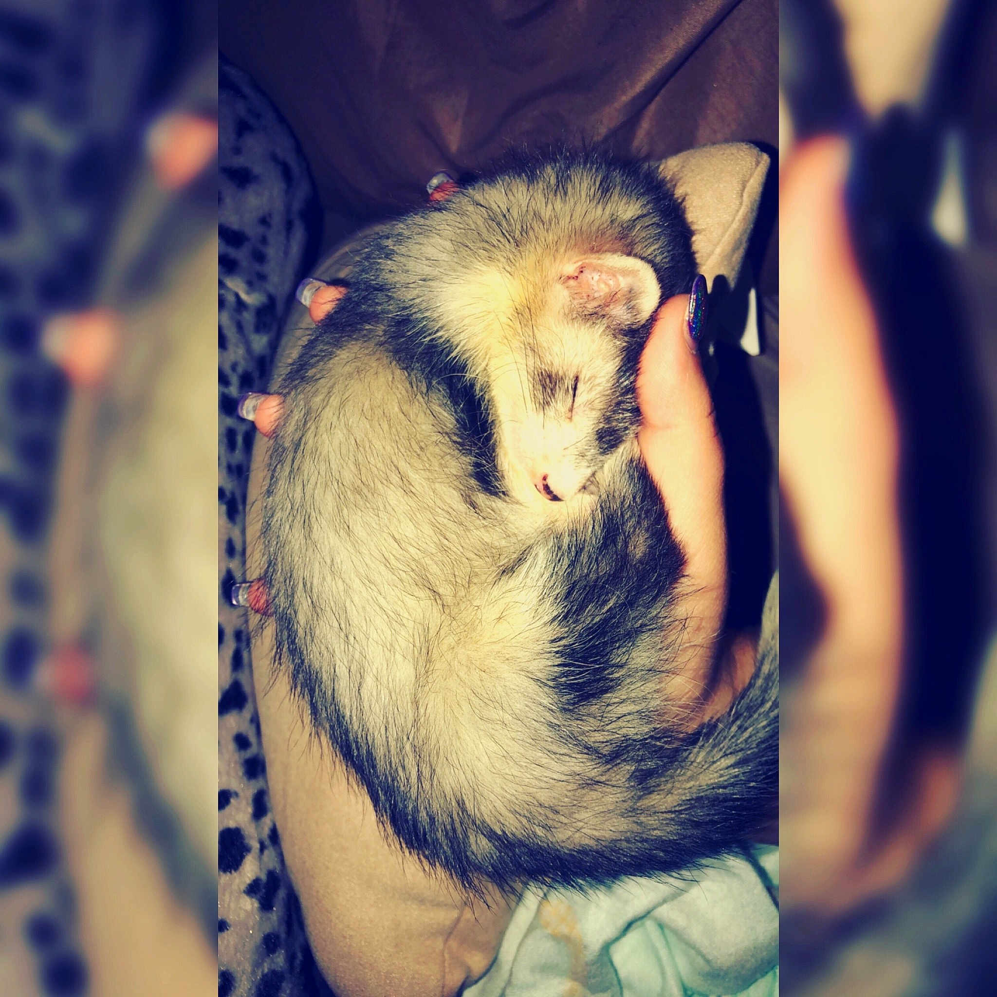 Milo