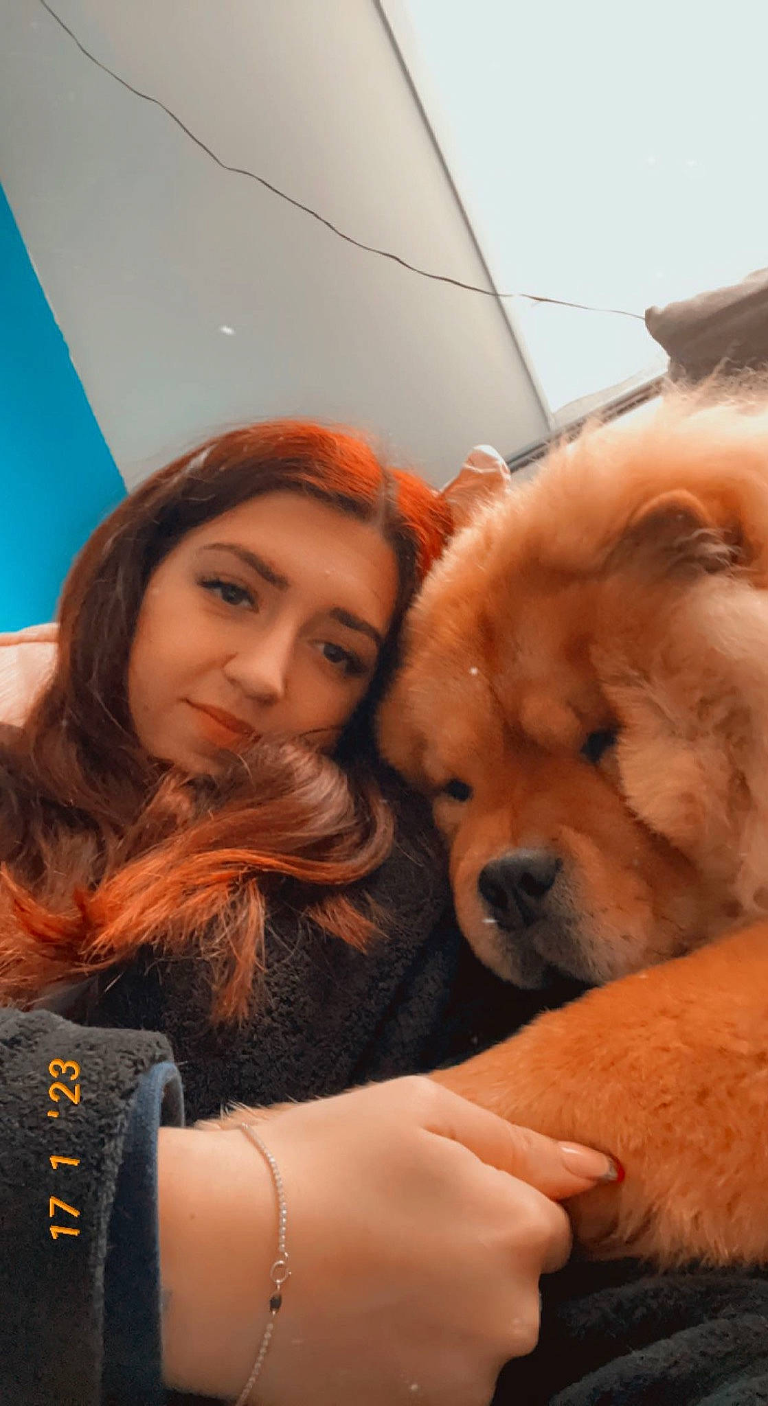 Winnie a rejoint le concours — aidez-le/la à gagner de superbes lots ! bracelet, brown_hair, carnivore, companion_dog, dog, dog_breed, eyewear, fawn, fur, happy, human_leg, jewellery, long_hair, pomeranian, selfie, skin, snout, sporting_group, sunglasses, thigh