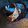 Remi joined the competition — help win amazing prizes! animal, basket, blanket, cat, comfortable, cozy, cute, feline, fur, handle, indoor, lighting, paw, pet, playful, resting, rug, shadow, texture, warmth