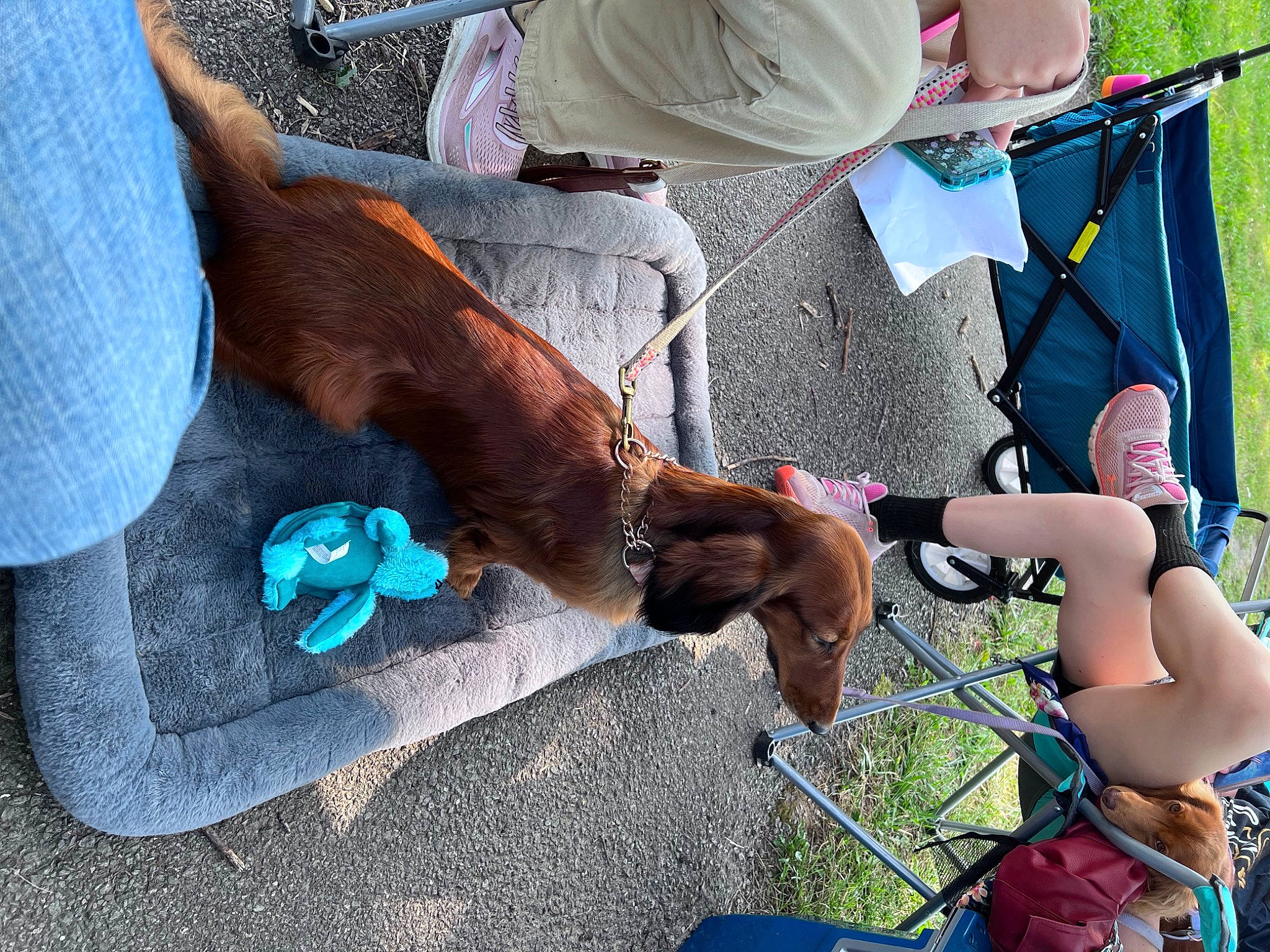 Lucy joined the competition — help win amazing prizes! adventure, blue, child, elbow, electric_blue, eyewear, fashion_accessory, foot, fun, grass, green, human_leg, leisure, nail, pattern, play, recreation, rope, shorts, wrist