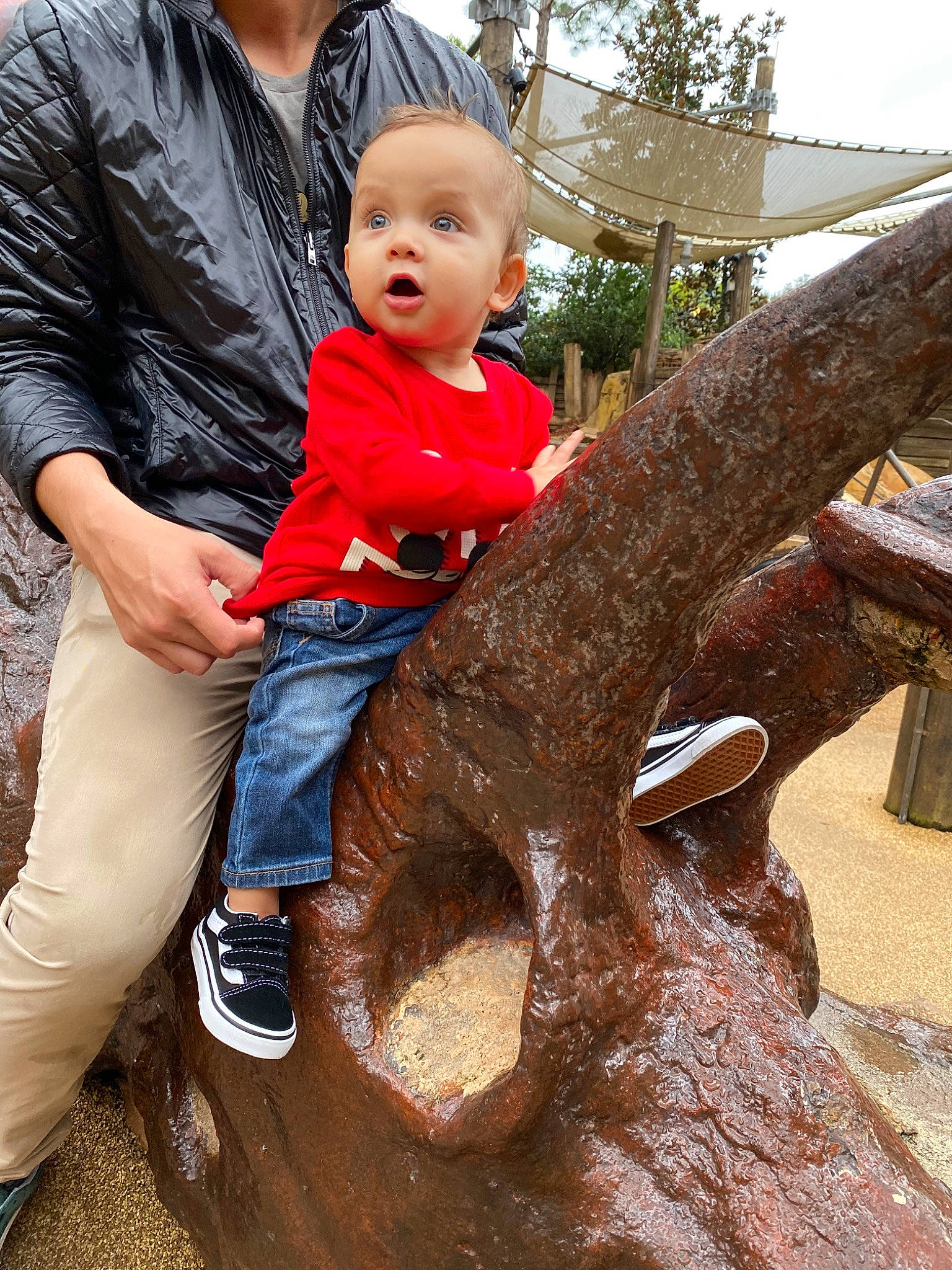 Matias joined the competition — help win amazing prizes! child, person, plant, play, surprise, toddler, tree, trunk